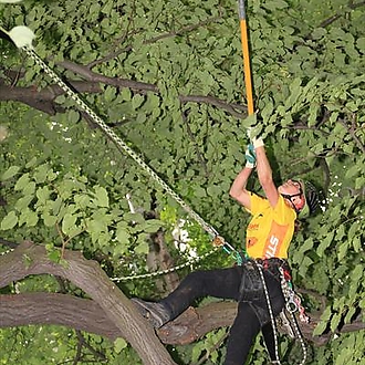 European Tree Climbing Championship 2011